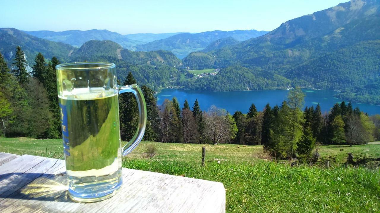 里格勒托别墅公寓 萨尔茨堡 外观 照片